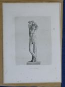 After Bartolini and Others27 engravings,Studies of classical statuary,overall 23 x 16.5in.;