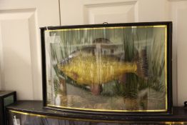 A John Cooper taxidermic Carp, in naturalistic setting and bow front glazed case, 19.5in.