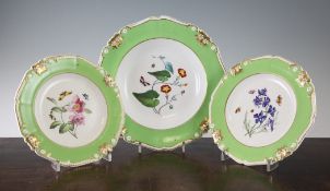Three Bloor Derby dessert plates with botanical decoration within green borders, Largest 8in.
