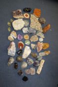 A collection of various polished agates and natural minerals, including amethyst, petrified wood