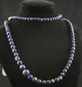 A single strand graduated lapis lazuli bead necklace, with gold clasp, 31.25in.