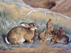 Frank Paton (1856-1909)watercolour,Rabbit and young on a hillside,signed and dated 1901,18 x 24.