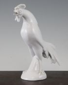 A Meissen `Weiss` glazed porcelain figure of a cockerel, impressed marks and underglaze blue crossed