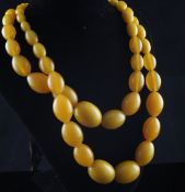 A double strand graduated amber bead necklace, each terminal with brown velvet sash, bead section