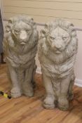 A large reconstituted stone pair of seated garden lions, H.3ft 4in.