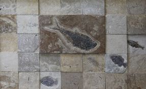 Four fossilised fish specimens, 150 million years old, framed as one, with other stone tiles