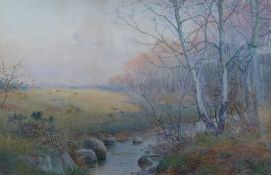 Albert Kinsley (1852-1945)watercolour,Woodland stream,signed,20.5 x 31.5in. Starting Price: £160