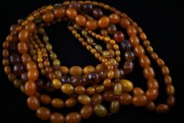 Six amber beads necklaces, of various sizes. Starting Price: £240