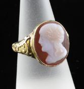 A 19th century 9ct gold and hardstone cameo ring, with ornate shank and stone carved with the head