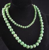 A single strand graduated jadeite bead necklace, with 9ct gold clasp, 26.5in. Starting Price: £800