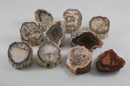 Eight Madagascar fossil wood bevels; two Argentinian agate nodules and six Pyrites in matrix from La