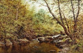 Thomas Spinks (1847-1927)oil on canvas,A woodland stream,signed and dated 1881,20 x 30in.