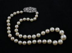 A 1930`s/1940`s graduated cultured pearl choker necklace with 18ct white gold diamond set clasp,