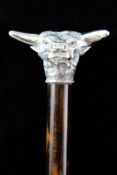 A modern silver mounted hardwood walking cane, the handled modelled as a bull`s head with