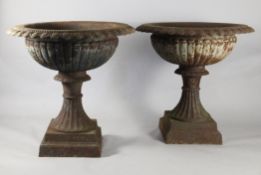 A large pair of circular cast iron garden urns, with egg and dart borders and gadrooned bodies and