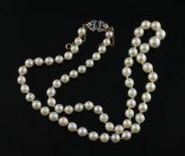 A 1930`s graduated cultured pearl necklace with paste set gold clasp, 20in.
