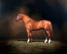 § Andrew Garlandoil on canvas,Portrait of a chestnut horse,signed,32 x 39.5in.