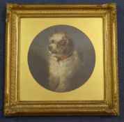 Jean Langlois (19th C.)watercolour,Portrait of a terrier,tondo 11in.