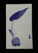 A Chinese blue and white plaque, painted with a taro plant, 16.75 x 10in.