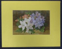 Mary Elizabeth Duffield (1819-1914)watercolour,Still life of flowers,signed,9 x 12in. unframed.