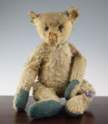 An early 20th century Steiff gold plush teddy bear, with black buttoned eyes, hump and straw