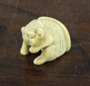 A Japanese ivory netsuke modelled as a crouching tiger, 19th century, with horn inset eyes, the