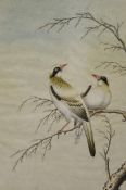 19th century Indian Schoolwatercolour and gouache,Two birds perched on a branch,13 x 10in.