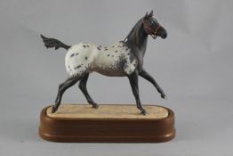 A Royal Worcester figure `Appaloosa stallion`, by Doris Lindner, with certificate, 10.5ins., wood