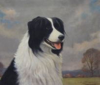 Roy Nockolds (1911-1979)oil on canvas,Portrait of a collie,signed,12 x 14in.