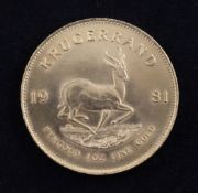 A 1981 gold Krugerrand.