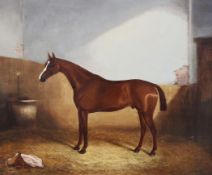James Clark Snr (1858-1909)oil on canvas,Chestnut horse in a stable,signed,20 x 24in.