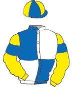 ROYAL BLUE and WHITE (quartered), YELLOW sleeves, ROYAL BLUE armlets, ROYAL BLUE and YELLOW