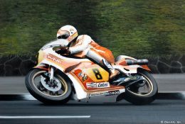 S. Craner (contemporary). MIKE HAILWOOD 1979 TT SUZUKI RG500. signed by the artist and dated `84,