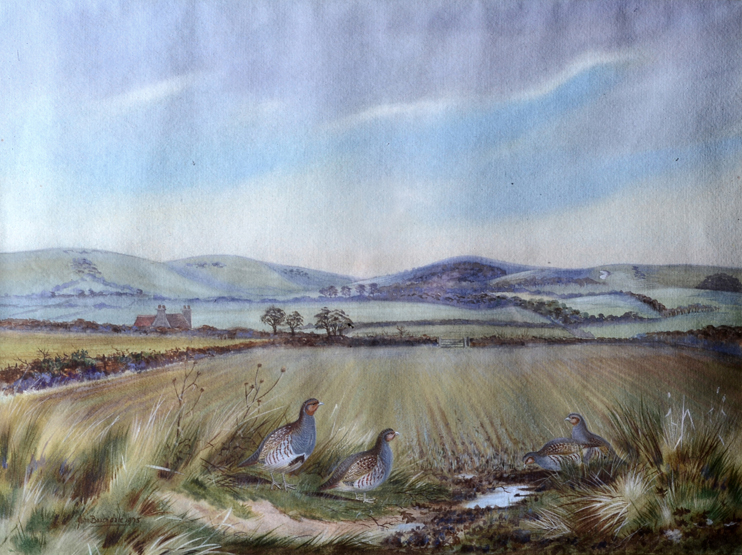 John Baxendale (1919-1982)Partridges in a landscapewatercolour and bodycolour, signed and dated 1975