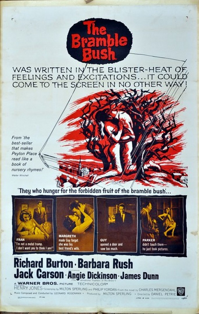 A 1960s colour film poster for The Bramble Bush, starring Richard Burton, Barbara Rush and others,