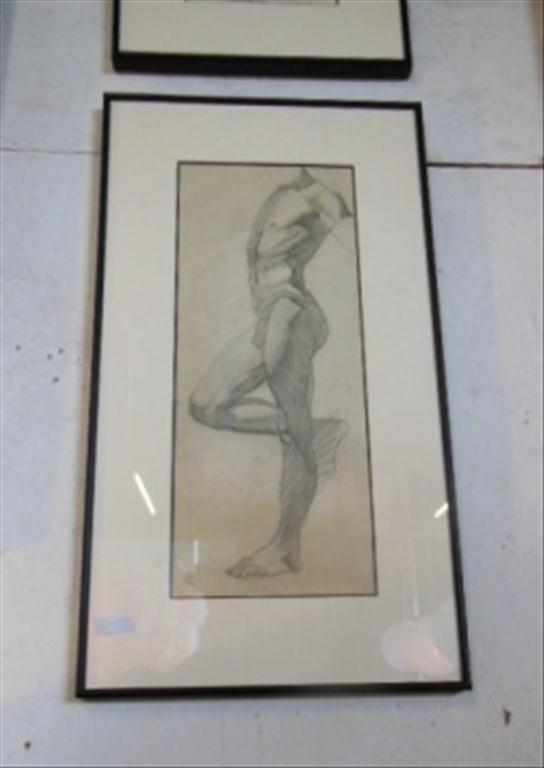 MARJORIE DERRICOURT FRAMED PENCIL DRAWING STUDY OF A MALE TORSO, FRAMED AND SIGNED UNDER MOUNT, 63 X