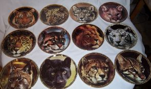 12 Royal Doulton 1996 Guardians of the Wild Plate Collection with boxes and certificate of