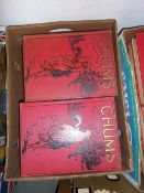 16 vols. 'Chums' annuals