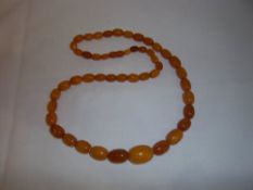 Graduated oval cloudy amber bead necklace approx. 48 beads wt approx. 50.1g