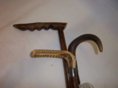 Horn handled walking stick with silver collar & 2 other walking sticks