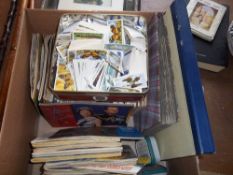 Lg. sel. cigarette card albums & some loose cigarette cards