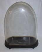 Glass dome on wooden base total height 43cm