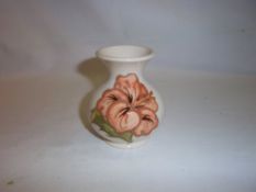 Sm. Moorcroft `Coral Hibiscus` vase on cream ground
