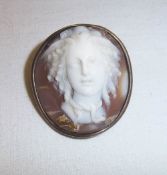Sm. cameo brooch depicting mythical ladies head