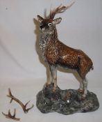 Beswick Ltd ed. Monarch of the Glen (antlers seperate)