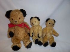 3 wood wool Sooty teddy bears