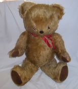 Lg. Pedigree wood wool teddy with growler ht approx. 59cm