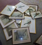 Sel. framed prints inc. ornithological studies (6) etc.