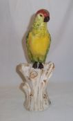 Staffordshire style parrot