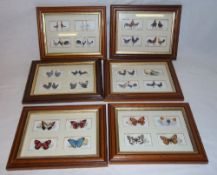 Sel. framed Player's cigarette cards chickens & butterflies